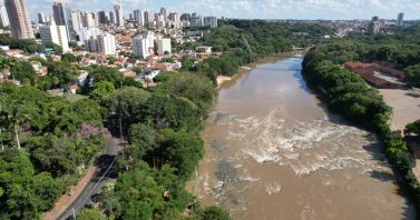 2º Prêmio Mirante de Jornalismo Sustentável tem inscrições prorrogadas até 30 de janeiro