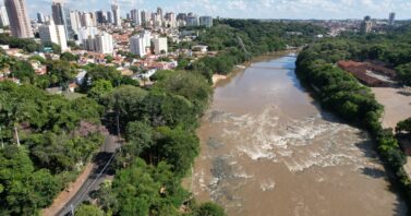 259 anos de história e o compromisso com o futuro de Piracicaba